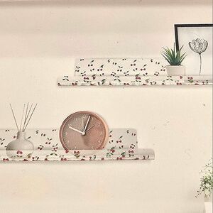 Elle & Jane Heart Cherries Patterened Acrylic Floating Wall Shelves